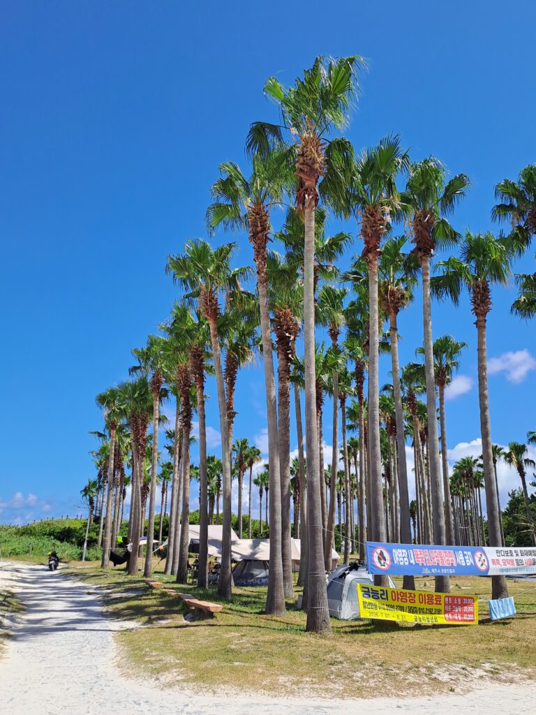 Geumneung Beach: A Quiet Jeju Shore of White Sand, Shallow Water, and Biyangdo Views kakaotalk 20260808 214859858 04