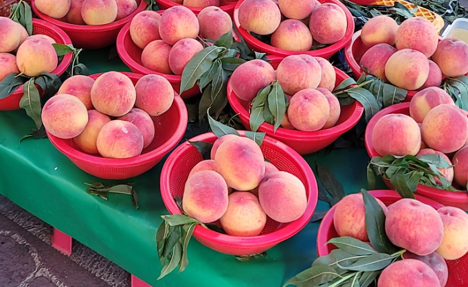 Korean Fruits: Korean Peaches (Bok-sunga, 복숭아) image