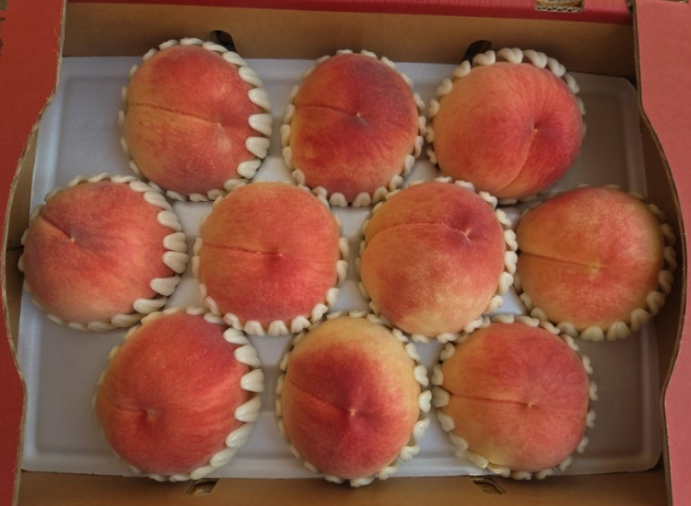 Korean Fruits: Korean Peaches (Bok-sunga, 복숭아) image